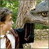 http://www.harrypotterfanzone.com/downloads/avatars/poa031.jpg