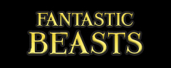 Fantastic Beasts Fantastic Beasts