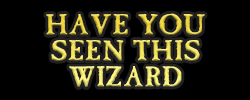 Have You Seen This Wizard Have You Seen This Wizard