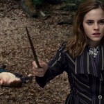 Harry Potter and the Deathly Hallows Part 1