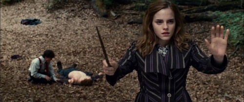Harry Potter and the Deathly Hallows Part 1 Harry Potter and the Deathly Hallows Part 1