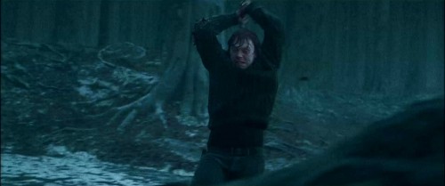 Harry Potter and the Deathly Hallows Part 1 Harry Potter and the Deathly Hallows Part 1