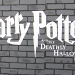 Deathly Hallows: Part 1 NYC premiere Deathly Hallows: Part 1 NYC premiere