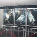Deathly Hallows: Part 1 NYC premiere Deathly Hallows: Part 1 NYC premiere