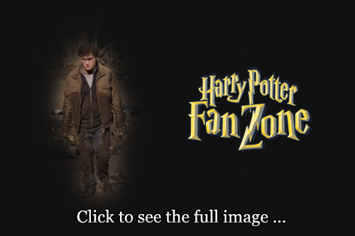 Harry walks away from a defeated Voldemort in 'Deathly Hallows: Part 2'