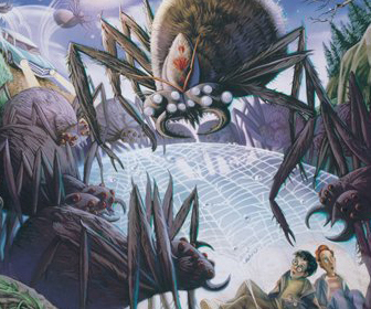 Spiders in the Forbidden Forest