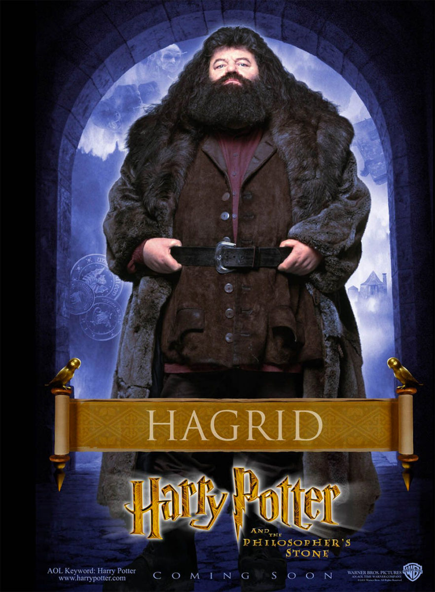 cast of harry potter and the philosopher's stone hagrid